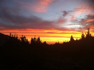 Blog Photos - Feb 2013 033