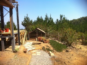 Blog Photos - March 2013 013