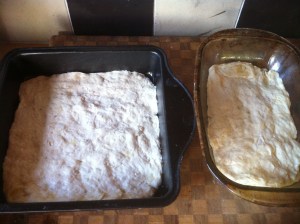 Blog Photos - May 2013 005