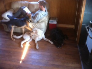 Blog Photos - May 2013 010