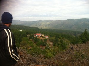 Blog Photos - May 2013 002