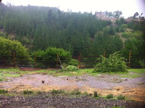 Blog Photos - May 2013 046