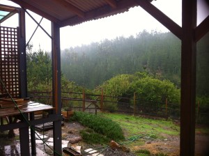 Blog Photos - May 2013 052