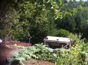 Blog Photos - august 2013 003