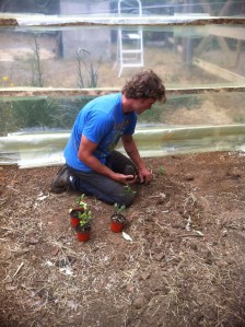 Blog Photos - november 2013 001