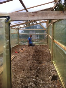 Blog Photos - november 2013 003