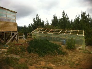 Blog Photos - november 2013 005