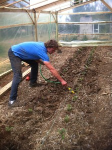 Blog Photos - november 2013 006