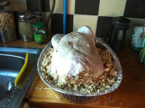 Blog Photos -december 2013 004