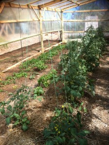 Blog Photos -december 2013 019