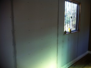 Blog Photos -january 2013 001