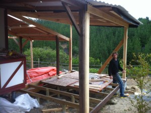 Blog Photos -january 2013 009