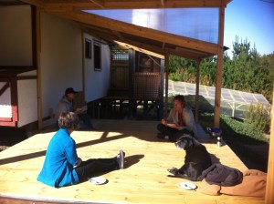 Blog photos- feb 2014 002