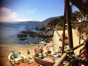 Blog photos- feb 2014 012