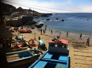 Blog photos- feb 2014 014