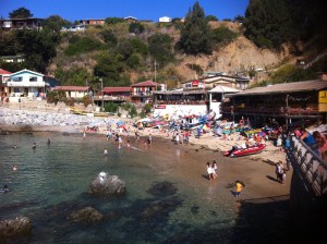 Blog photos- feb 2014 015