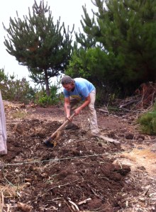 Blog photos- march 2014 025